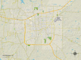 Political Map of Texarkana, TX Posters