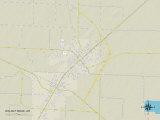 Political Map of Walnut Ridge, AR Prints