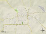 Political Map of Quincy, FL Posters