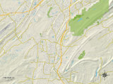 Political Map of Pelham, AL Prints