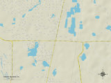 Political Map of Ridge Manor, FL Prints