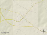 Political Map of New Brockton, AL Print