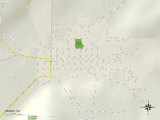 Political Map of Paonia, CO Posters