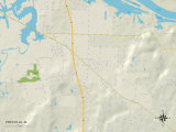 Political Map of Priceville, AL Posters