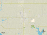 Political Map of Foley, AL Prints