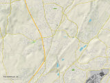 Political Map of Fultondale, AL Posters