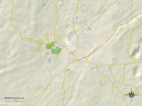 Political Map of Montevallo, AL Prints