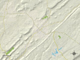 Political Map of Oneonta, AL Prints