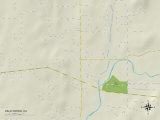 Political Map of Palo Cedro, CA Print
