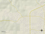 Political Map of Asbury, IA Poster