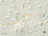 Political Map of Williams, AZ Prints