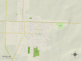 Political Map of Butler, MO Photo
