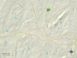 Political Map of Dallas, GA Prints