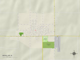 Carte politique de Mount Ayr, IA Posters