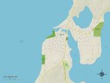 Political Map of Elk Rapids, MI Poster