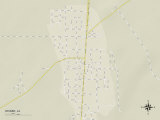 Political Map of Wisner, LA Posters