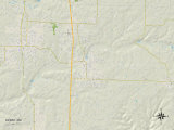 Political Map of Ozark, MO Print