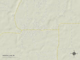 Political Map of Skidway Lake, MI Posters