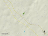 Political Map of Stony Point, NC Posters