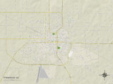 Political Map of Fitzgerald, GA Prints