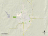 Political Map of Maryville, MO Posters