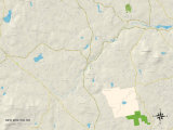 Political Map of New Boston, NH Prints