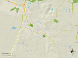 Political Map of Columbia, IL Prints