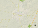Political Map of Franklin, KY Photo