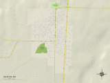 Political Map of Palmyra, MO Posters