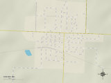 Political Map of Stover, MO Posters