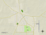 Political Map of Winnsboro, LA Prints