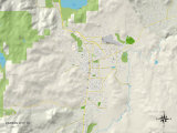 Political Map of Carson City, NV Prints