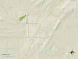 Political Map of Atoka, OK Prints