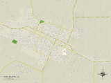 Political Map of Ville Platte, LA Posters