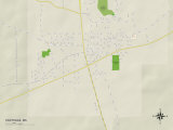 Political Map of Carthage, MS Posters