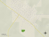 Political Map of Wisner, NE Prints