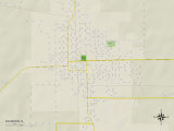 Political Map of Du Quoin, IL Prints