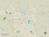 Political Map of Hattiesburg, MS Posters