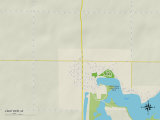Carte politique de Lake View, IA Photographie