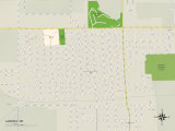 Political Map of Aurora, NE Posters