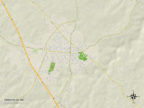 Political Map of Perryville, MO Posters