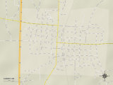 Political Map of Summit, MS Photo