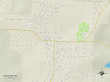 Political Map of Stockton, MO Print