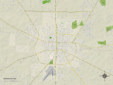Political Map of Douglas, GA Posters