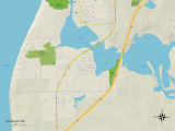 Political Map of Douglas, MI Photo
