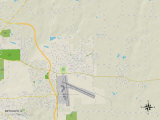 Political Map of Bethalto, IL Print