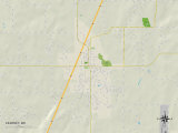 Political Map of Kearney, MO Posters