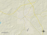 Carte politique de Waynesboro, MS Posters