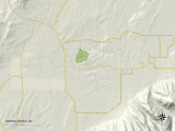 Political Map of Spring Creek, NV Print