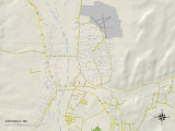 Political Map of Espanola, NM Prints